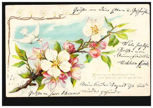 Fleur-AK Langue florale - Branche de fleurs avec pigeons-compris, ENTRES 12.3.2003