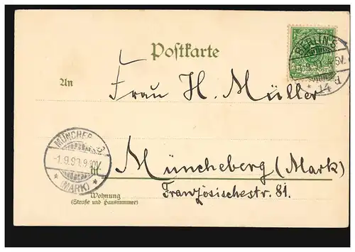 Fleur-AK Œillets, BERLIN S 14 d 1.9.1899 vers MÜNCHBERG (MARK) 1.9.9.99