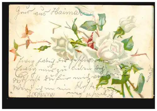 Blumen-AK Weiße Rosen, HOHENHAMELN 15.8.1901 nach BURGDORF (HANNOVER) 15.8.01