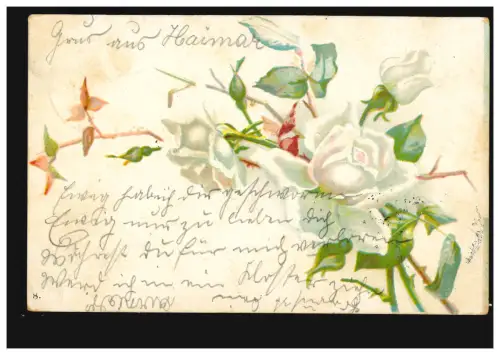 Blumen-AK Weiße Rosen, HOHENHAMELN 15.8.1901 nach BURGDORF (HANNOVER) 15.8.01