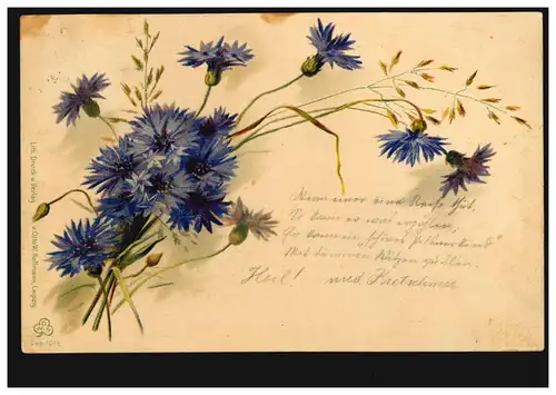 Blumen-AK Violette Nelken, nach KARLSBAD 1 - 4.8.1899