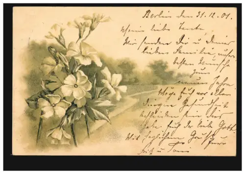 Blumen-AK Weiße Nelken mit Landschaft, BERLIN 30.12.1900 nach Münchberg