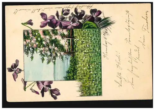 Blumen-AK Landschaftsbild mit Veilchengirlande, Ortspostkarte HAMBURG 28.6.1902