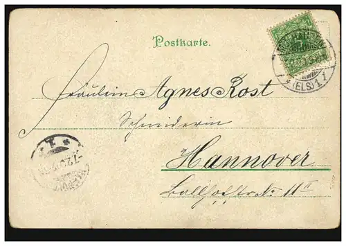 Blumen-AK Kein grosses Gedicht: Nur Vergissmeinnicht! MÜLHAUSEN (ELS.) 6.2.1909