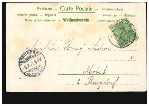 Blumen-AK Gelbe Büschel-Nelken, nach BURGDORF (HANNOVER) 3.7.1901