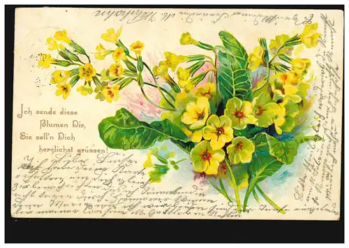 Blumen-AK Gelbe Büschel-Nelken, nach LAUENAU 8..2.1902 nach HANNOVER 8.2.02