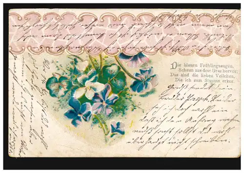 Poème de violette de fleurs AK, CASSEL 9.11.1903 d'après GELSENKIRCHEN 9.11.03