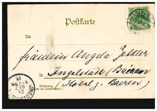 Blumen-AK Verblühender Blumenzweig, BERLIN 23.12.1899 nach INGOLSTADT 24.12.99