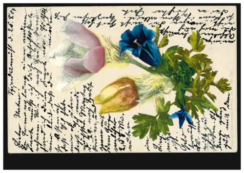 Blumen-AK Tulpen und Enzian, SPINDELMÜHLE 26.8.1904 nach LIEGNITZ 26.8.04