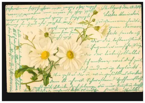 AK Margeriten de fleurs, STUTTGART n° 8 - 23.7.1908 d'après SIGMARINGEN 23.07.08