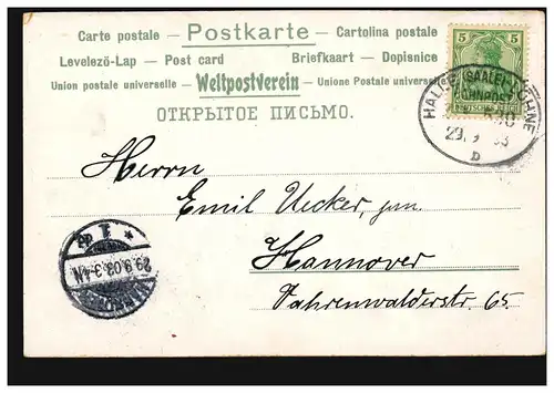 Bahnpost HALLE/SAALE - LÖHNE (WESTF.) ZUG 530 - 29.9.1903 auf Blumen-AK