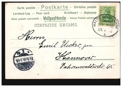 Poste ferroviaire HALLE/SAALE - LÖHNE (WESTF.) ZUG 530 - 29.9.1903 sur les fleurs-AK