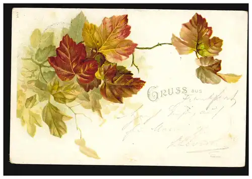 Blumen-AK Gruss aus ... Weinlaubblätter, FRANKFURT (MAIN) 3 g 18.2.1900