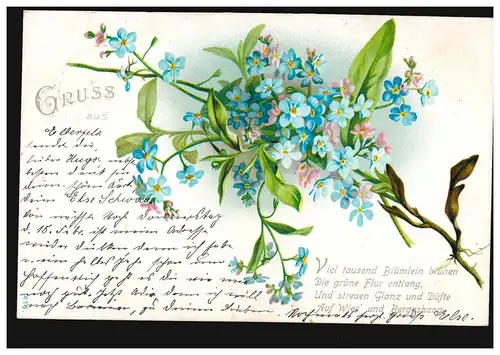 Blumen-AK Gruss aus ...Veilchengirlande ELBERFELD 2 - 9.2.1900 n. REMSCHEID 9.2.