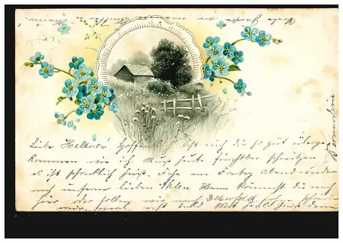 Blumen-AK Landschaftsbild mit Veilchen, BOCHUM 1 h 1.6.1903 nach ESSEN 1.6.03