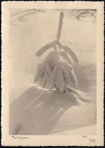 Landpost-Stempel Bannetze über CELLE 30.12.1937 auf AK Strenger Winter