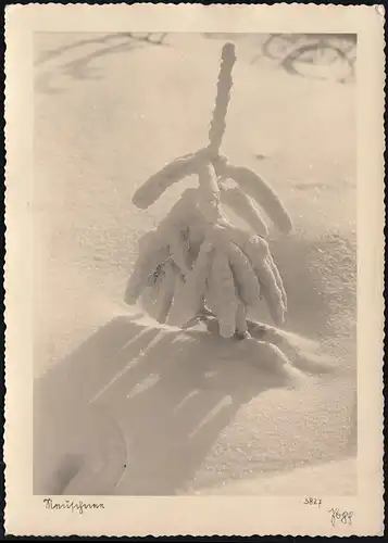 Temples de campagne Bannets sur CELLE 30.12.1937 sur AK Hiver rigoureux