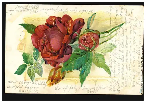 Blumen-AK Rote Rosen, NIENHAGEN (BZ. HANNOVER) 16.7.1901 nach VÖLKSEN 16.7.01