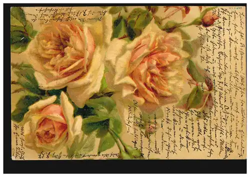 Fleurs AK Roses, SCHNEIDEMÜL 15.3.900 après BERLIN Commander Bureaux de poste 54 - 16.3.