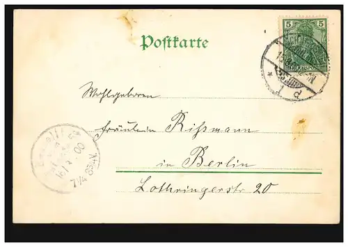 Blumen-AK Rosen, SCHNEIDEMÜHL 15.3.1900 nach BERLIN Bestellt Postamte 54 - 16.3.