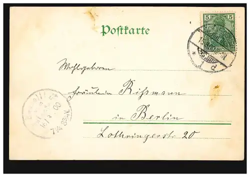 Fleurs AK Roses, SCHNEIDEMÜL 15.3.900 après BERLIN Commander Bureaux de poste 54 - 16.3.