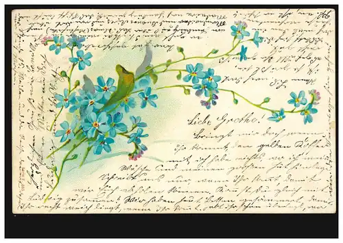 Blumen-AK Veilchenstrauß, GERA (REUSS) 1 m 20.5.1901 nach OETZSCH-GAUTZSCH 21.5.
