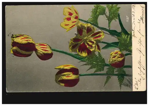 Blumen-AK Tulpen, BERLIN W 8 -  20.2.1903 Orts-PK Bestellt Postamte 26 - 20.2.03