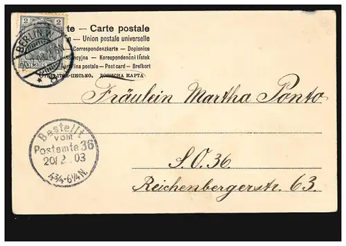 Blumen-AK Tulpen, BERLIN W 8 -  20.2.1903 Orts-PK Bestellt Postamte 26 - 20.2.03