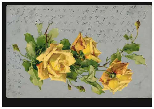 Blumen-AK Gelbe Rosen, PREUSSISCH-FRIEDLAND 7.2.1904 nach LONG 8.3.04