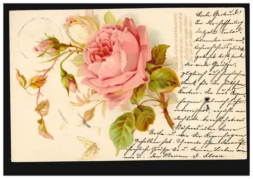 Branche de roses de fleurs AK, SCHNEEBERG NOUVEAUTÉL après CHEMNITZ 1902