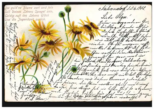 Margerites de fleurs AK, DENDORF [HANNOVER] 5.6.1902 selon CELLE 6.6.02
