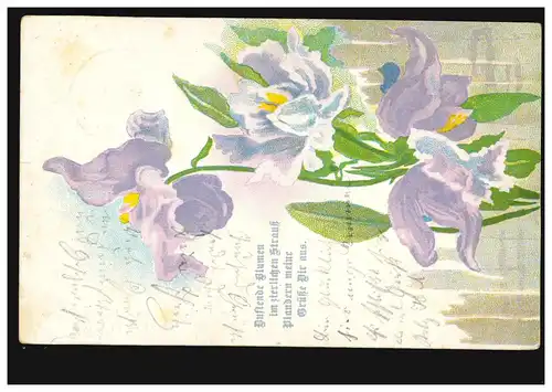 Blumen-AK Orchideen-Zweig, BETZDORF 5.12.1905 auf Orts-Postkarte