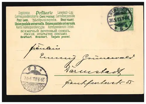 Blumen-AK Veilchen im Korb, HAMBURG 5a 28.5.1903 nach DARMSTADT 29.5.03