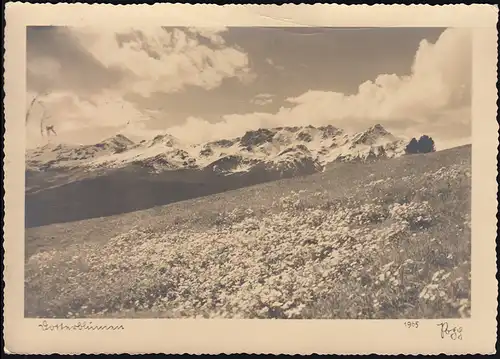 Landpost-Stempel Bannetze über CELLE 27.3.1937 auf AK Hochgebirge Dotterblumen