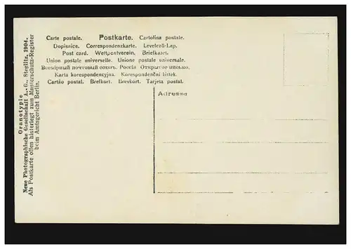 Mode-AK Frauenportrait - Nachdenklich, Verlag N.P.G. Steglitz 1904, ungebraucht