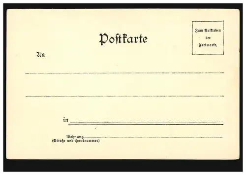 AK Salutation de Nuremberg: Nassauerhaus, Verlag Hermann Martin 1899, inutilisé