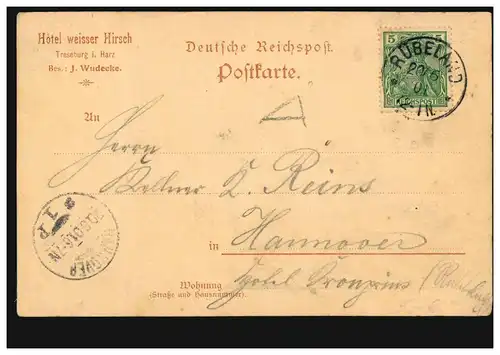 AK Gruss de Treseburg, RÜBELAND 20.6.1901 vers HANNOVER 1 p 20.06.01