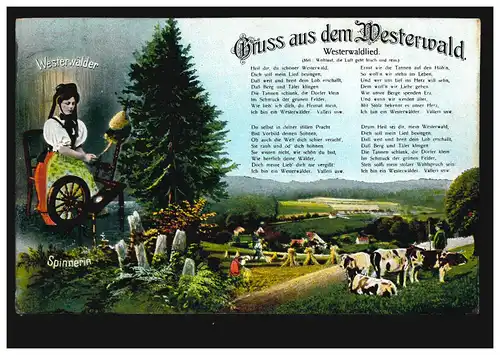 AK Gruss de la forêt de l'Ouest: Westerwaldlied et Spinnerin, AU 2.6.1912