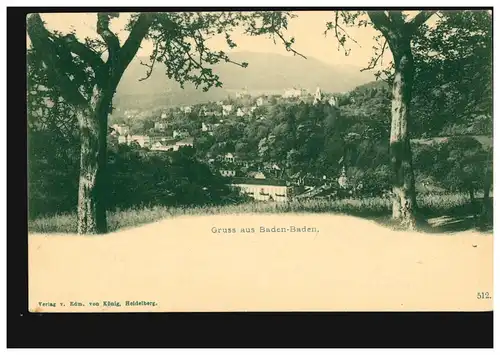 AK Gruss aus Baden-Baden: Panorama durch zwei Bäume, Verlag König, 24.8.1903