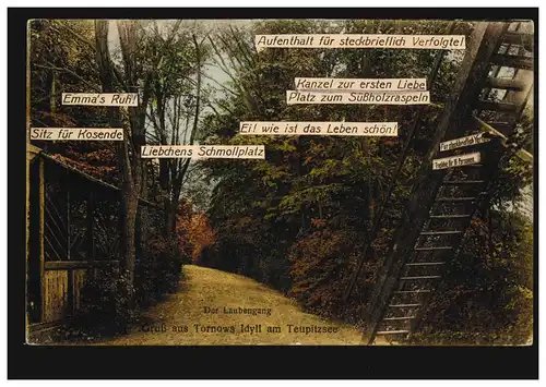 AK Salutation de Tornovs Idyll au Teupitzsee: Der Laubengang, BERLIN N 54.r 15.8.1927