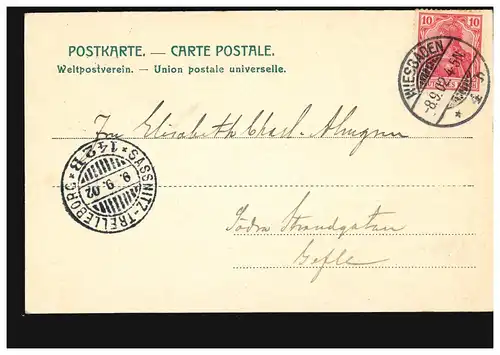 Schiffspost SASSNITZ-TRELLEBORG 142B 9.9.1902 auf AK Gruss aus Wiesbaden