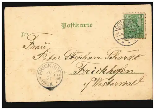 AK Gruss vom Deutschen Rhein, wo unsere Reben wachsen, COBLENZ 31.5.1901