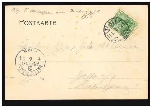 AK Gruss vom Dambachshaus und Pfeil's Denkmal, THALE (HARZ) 11.6.1904
