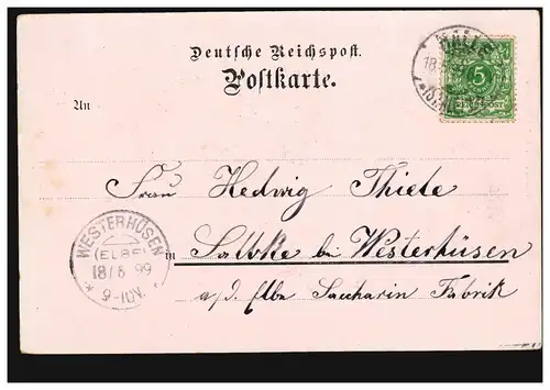 Salutation de Halle/Saale: Moritzburg, 18.5.1899 vers WESTERHÜSEN (ELBE) 28.6.99