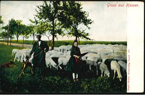 AK Gruss de Hesse: berger avec horde de moutons, inutilisé