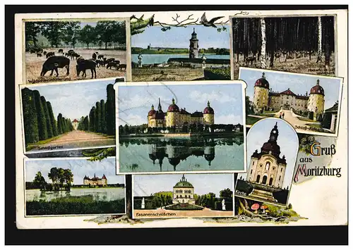 AK Gruss de Moritzburg, 9 photos, Editeur Paul Platz, 25.6.1930