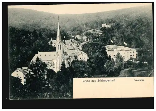 AK Gruss aus Schlangenbad - Panorama, Verlag Boogaart, ungebraucht