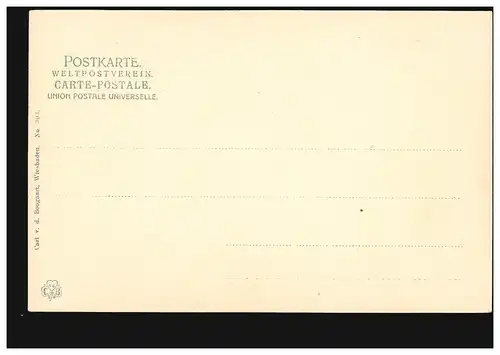 AK Gruse de bain de serpents - Panorama, édition Boogaart, inutilisé