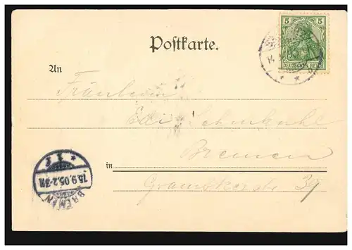 AK Gruss aus Sassnitz - Kreidefelsen auf Rügen, 14.9.1905 nach BREMEN 15.9.05