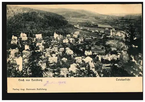 AK Gruß aus Harzburg: Totalansicht, Verlag Aug. Bormann Harzburg, ungebraucht 